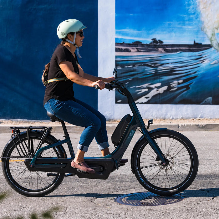 The Playtri Sarasota eBike Buyer’s Guide: Finding the Perfect Ride for Your Lifestyle