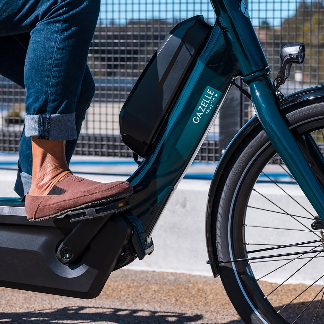 Find Your Perfect Gazelle E-Bike at Playtri Sarasota