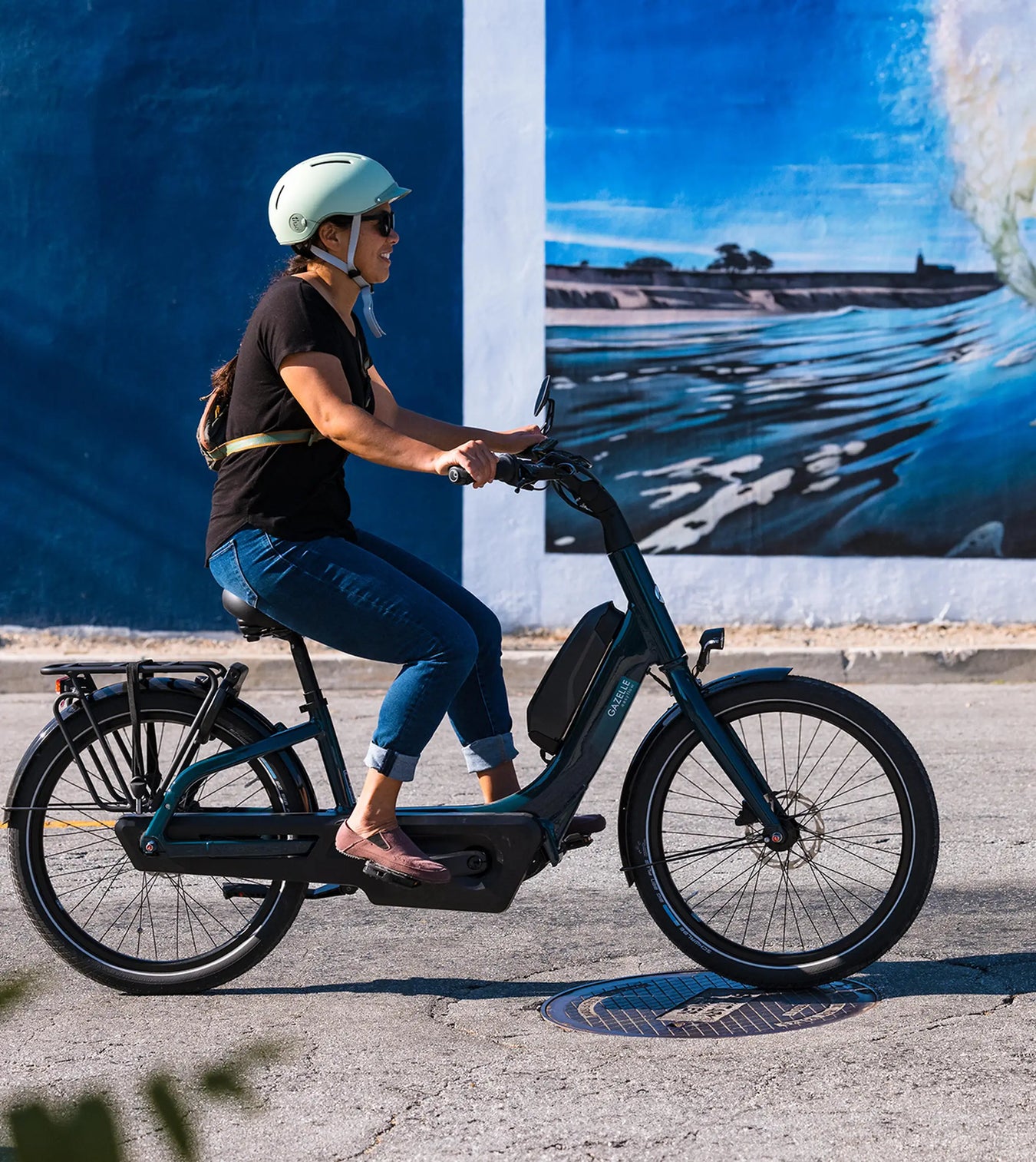 Person riding a Gazelle Ebike