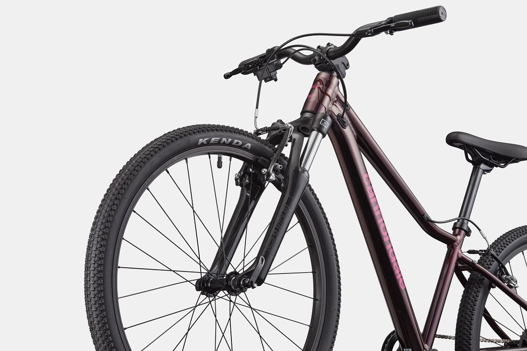 Cannondale -  Kids Trail 24 C2