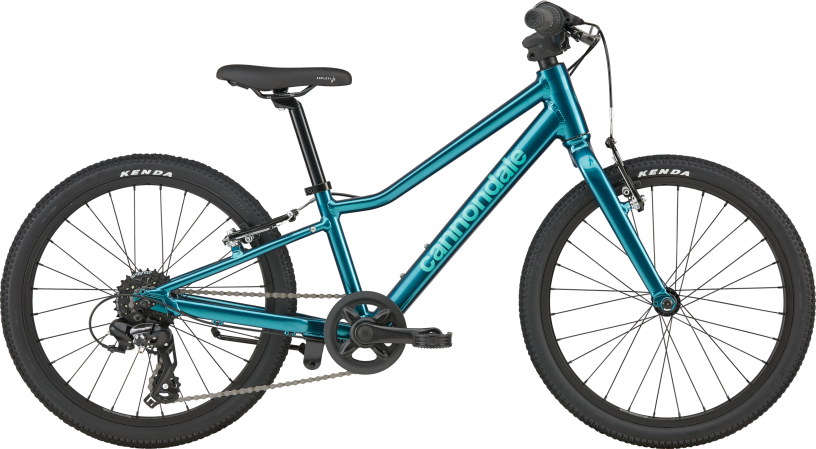 Cannondale Kids Quick 20 C1