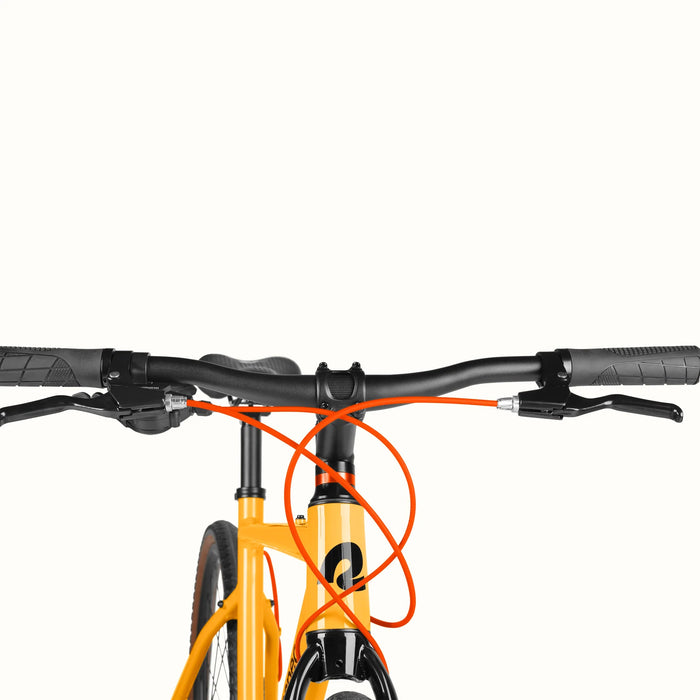 Retrospec Amok Adventure Bike 8 Speed Playtri Sarasota