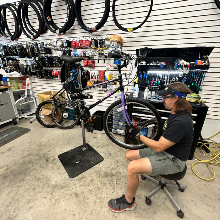 Basic Tune Up Service - Bicycle
